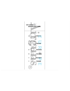 Kit juntas tóricas Cañón FX STXS 2