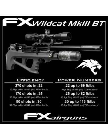 FX Wildcat MK3 BT