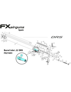 Inicio Cañon DRS