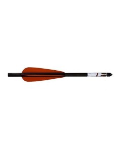 Flecha FX Carbon 2