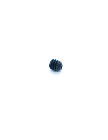 Tornillo prisionero M2x2
